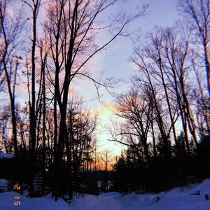 Meet your Posher, Katy